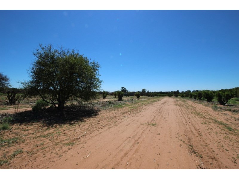 Lot 167 Jock Barrett Road, Waikerie SA 5330