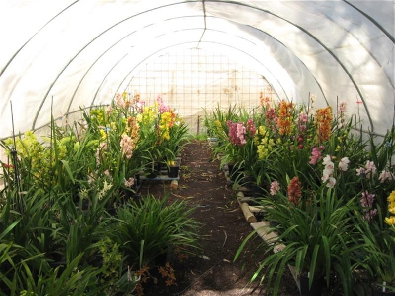 129 McGilvray Road, Glossop SA 5344