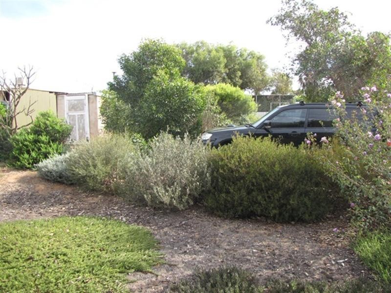 36 Dolan Street, Kingston On Murray SA 5331