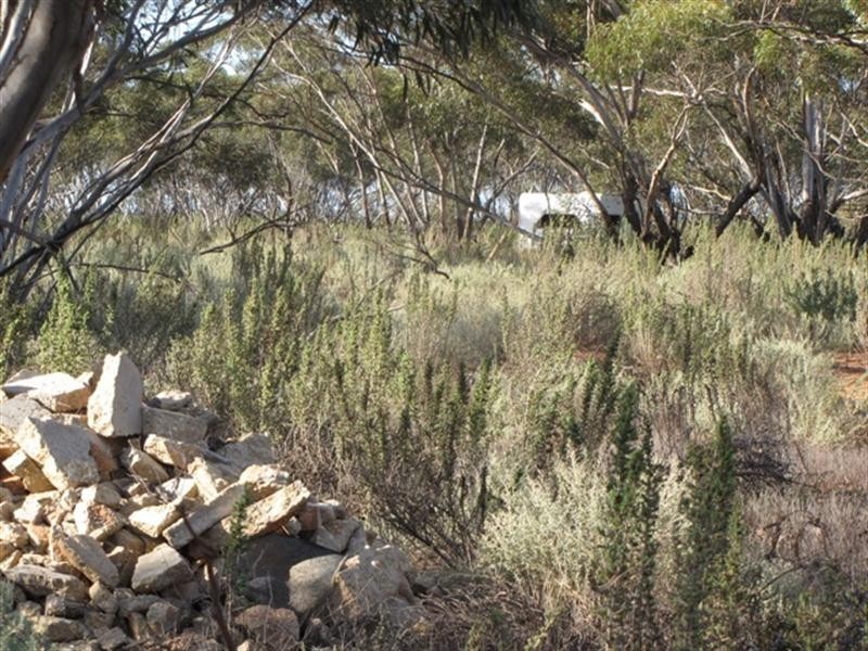 Lot 2 Sturt Highway, Kingston On Murray SA 5331