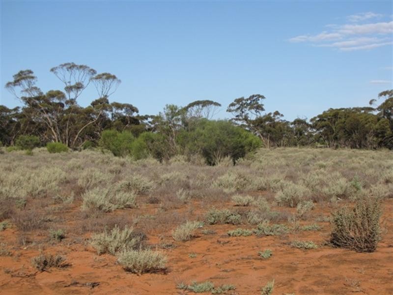 Lot 2 Sturt Highway, Kingston On Murray SA 5331