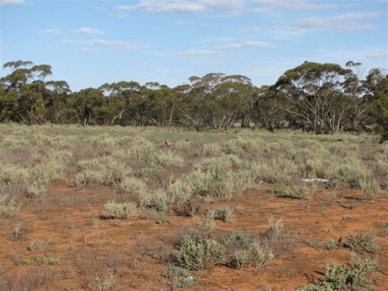 Lot 2 Sturt Highway, Kingston On Murray SA 5331