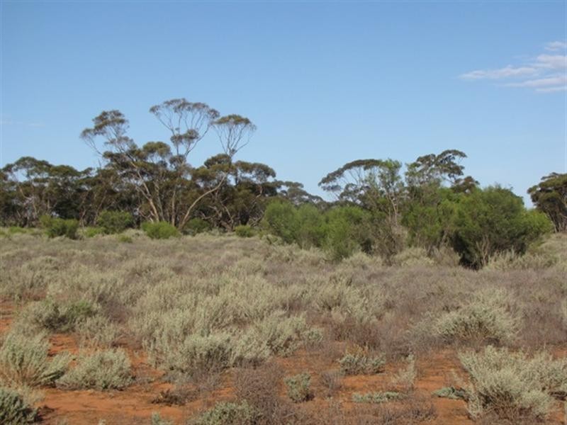 Lot 2 Sturt Highway, Kingston On Murray SA 5331
