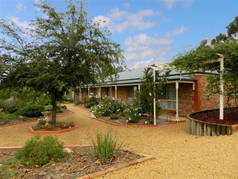 39 Storey Road, Waikerie SA 5330