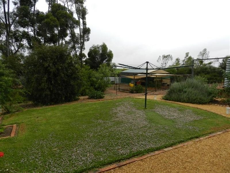 39 Storey Road, Waikerie SA 5330