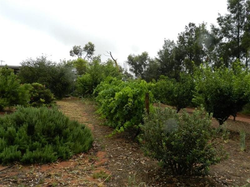 39 Storey Road, Waikerie SA 5330