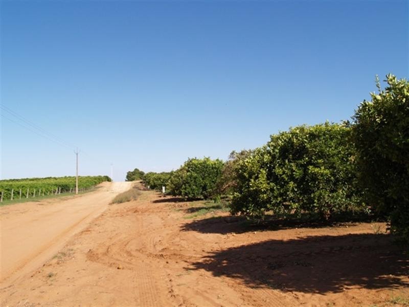 112 and113 Hartwig Road, Waikerie SA 5330