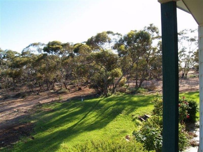 162 Old Murbko Road, Morgan SA 5320