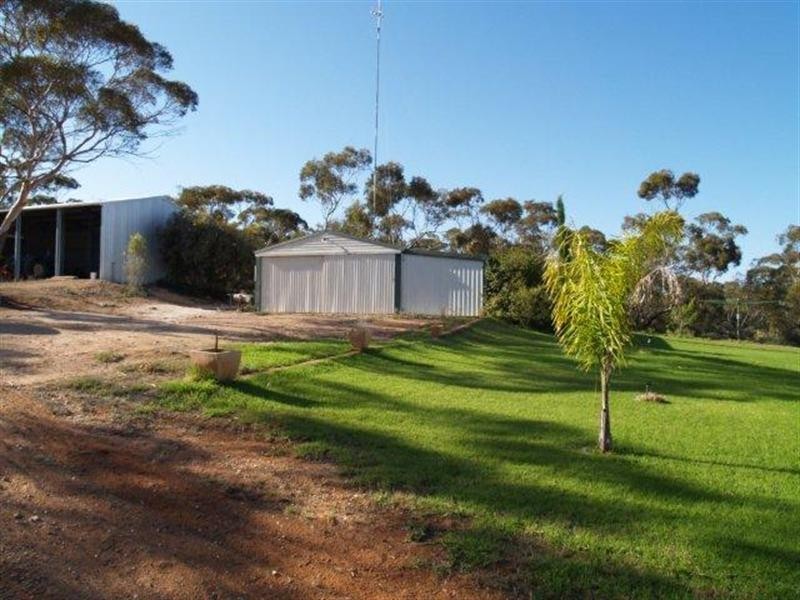 162 Old Murbko Road, Morgan SA 5320