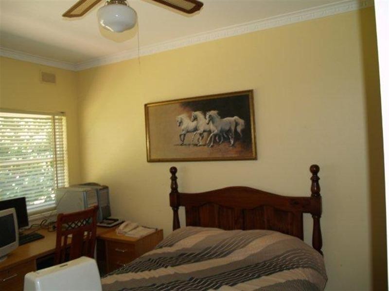 228 Hartwig Road, Waikerie SA 5330