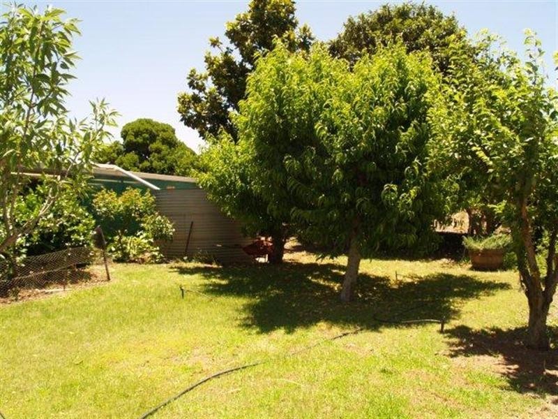 228 Hartwig Road, Waikerie SA 5330