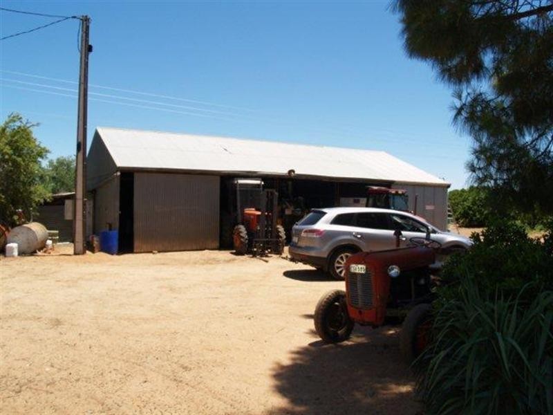 228 Hartwig Road, Waikerie SA 5330