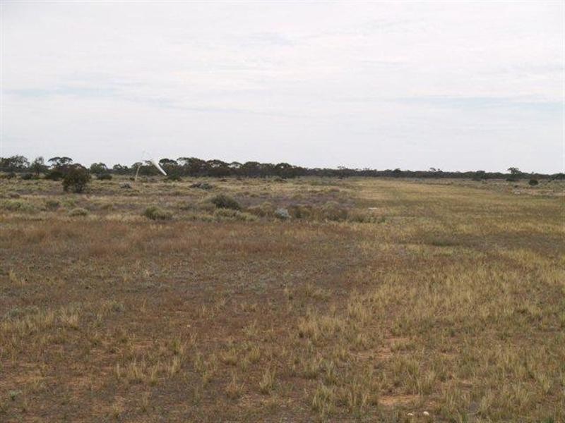 Lot 6 Murbko Road, Morgan SA 5320