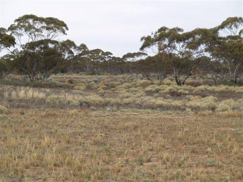 Lot 6 Murbko Road, Morgan SA 5320