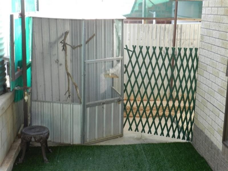 9 Bruce Road, Barmera SA 5345