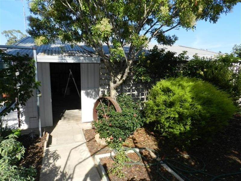 9 Bruce Road, Barmera SA 5345