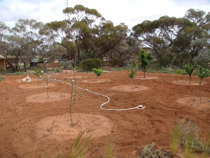 44 Newton Road, Berri SA 5343