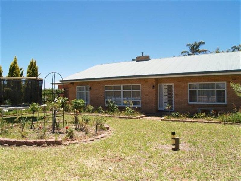 33 Borroughs Road, Waikerie SA 5330