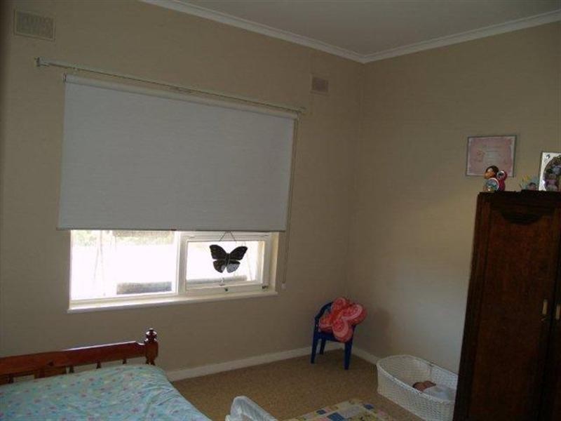 33 Borroughs Road, Waikerie SA 5330