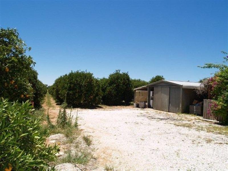 33 Borroughs Road, Waikerie SA 5330