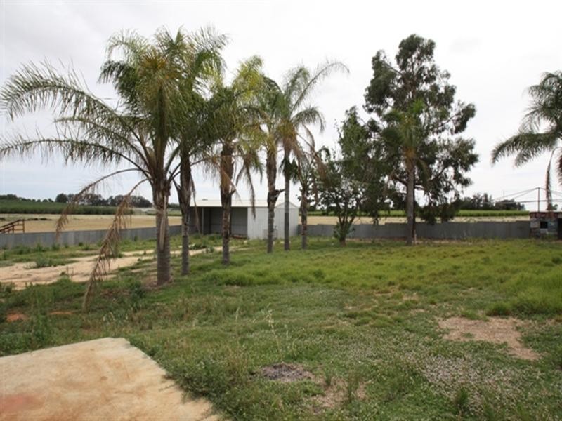 7 Casson Avenue, Loxton SA 5333