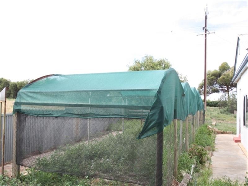 7 Casson Avenue, Loxton SA 5333