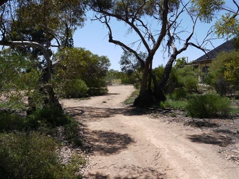 99 J C Smith Road, Berri SA 5343