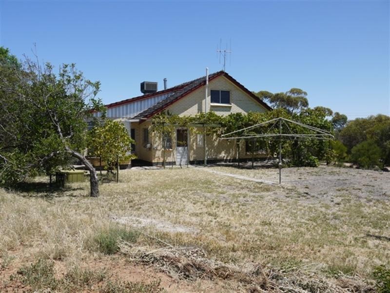 99 JC Smith Road, Berri SA 5343