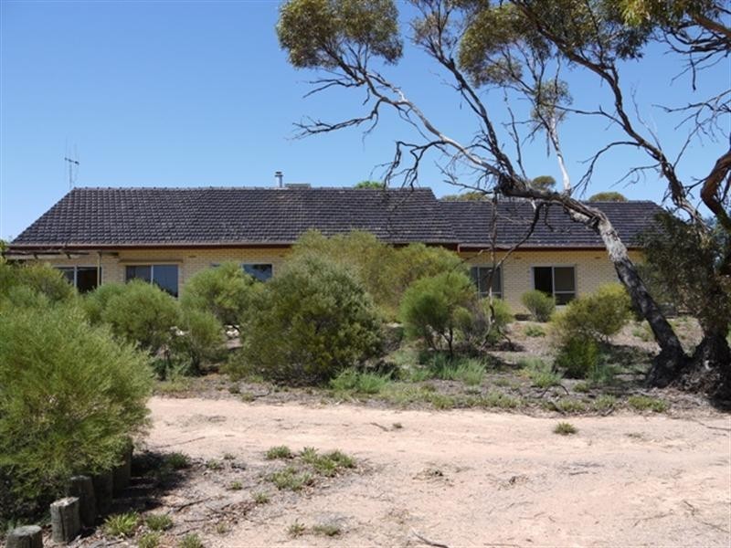 99 JC Smith Road, Berri SA 5343