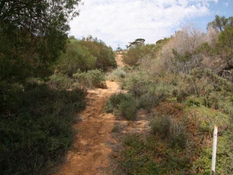 Lot 33 Wheatley Road, Loxton SA 5333