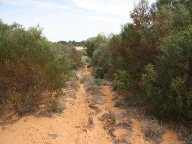 Lot 33 Wheatley Road, Loxton SA 5333