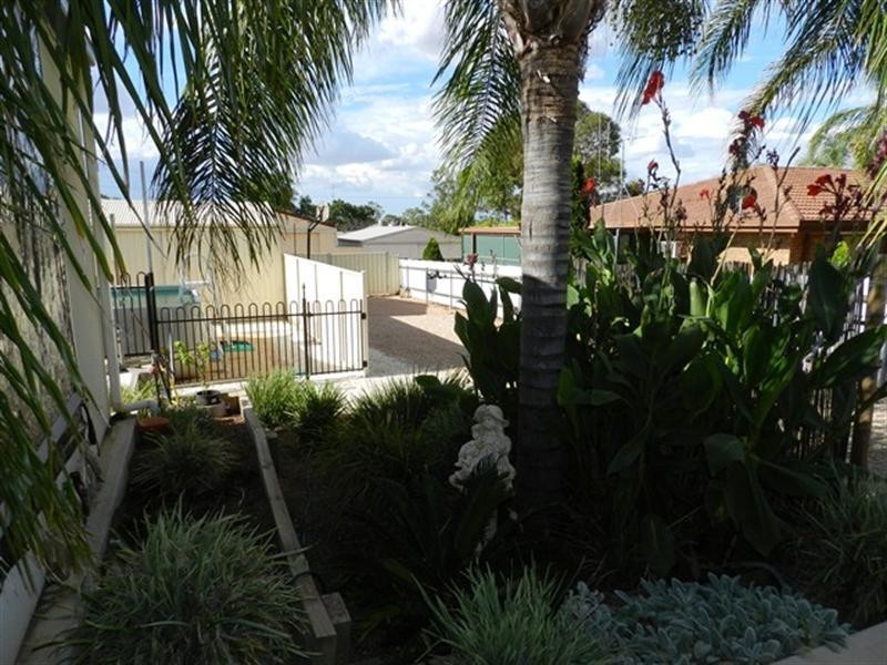14 Pascoe Terrace, Barmera SA 5345