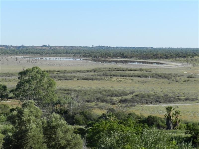 15 Schmidt Lane, Berri SA 5343