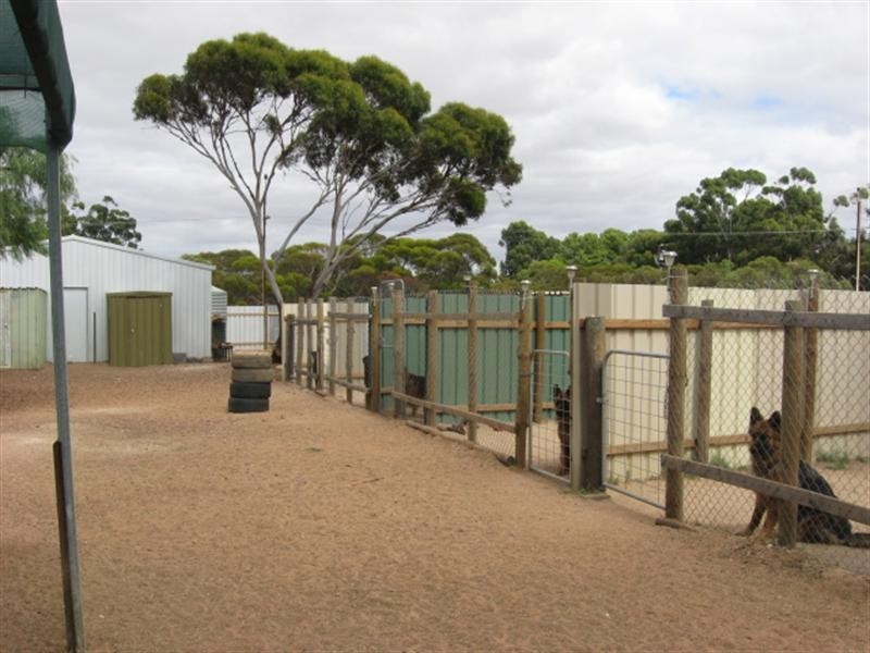 34 High Street, Paruna SA 5311