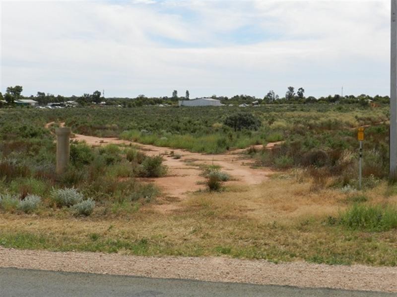 300 Caddy Road, Barmera SA 5345