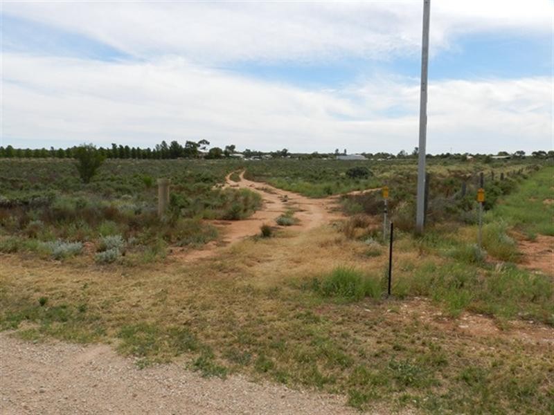 300 Caddy Road, Barmera SA 5345