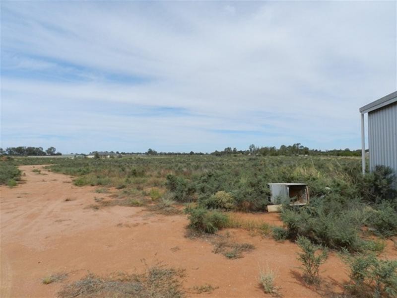 300 Caddy Road, Barmera SA 5345