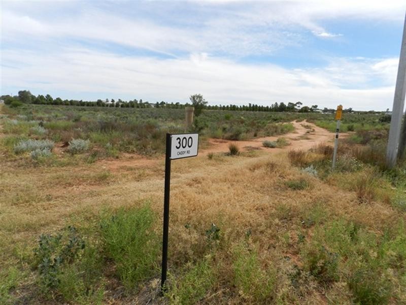 300 Caddy Road, Barmera SA 5345