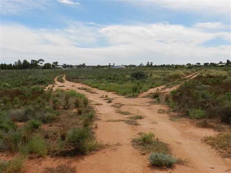 300 Caddy Road, Barmera SA 5345