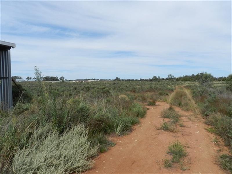 300 Caddy Road, Barmera SA 5345