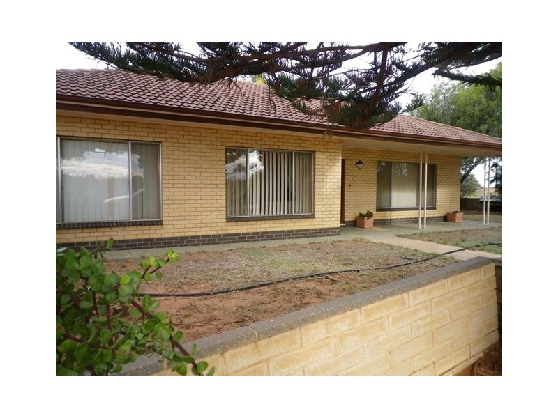 247 Gordon Road, Loveday SA 5345