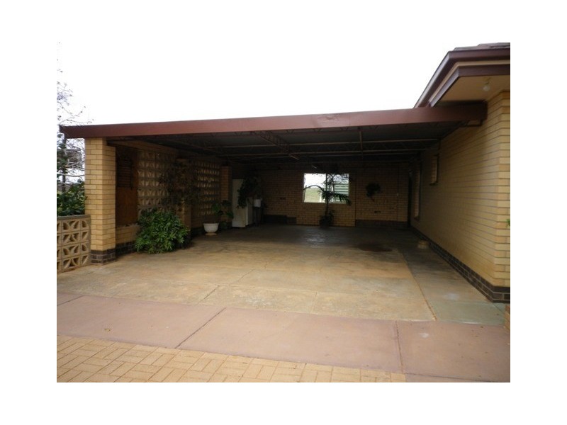 247 Gordon Road, Loveday SA 5345