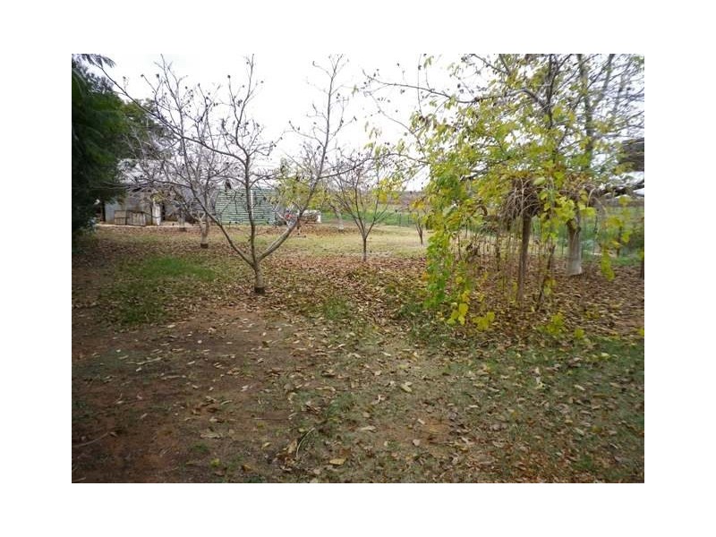 247 Gordon Road, Loveday SA 5345