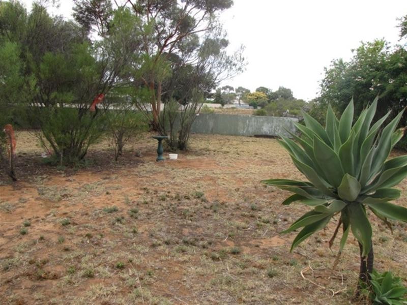 7 Trantalis Court, Loxton SA 5333