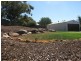 11 Najar Court, Berri SA 5343