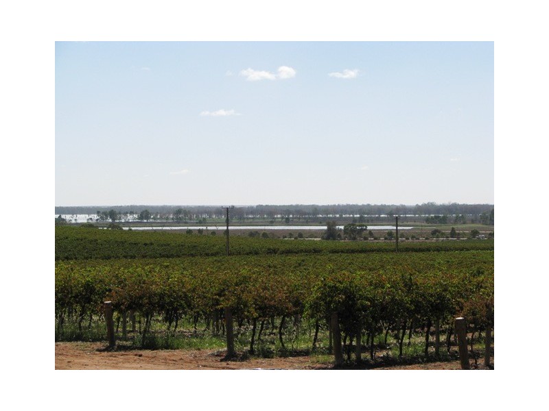 Sec 139 Battams Road, Moorook SA 5332