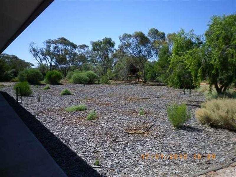 45 Bill Hunt Road, Winkie SA 5343