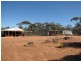 652 Caddy Road, Loveday SA 5345