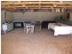 652 Caddy Road, Loveday SA 5345