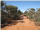 652 Caddy Road, Loveday SA 5345
